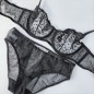 Lace Luxe: Sheer Elegance Panties for the Modern Gentleman