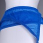 Ocean Silk: Blue Sheer Sissy Garter Belt